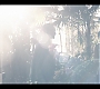 Filename=2x09_224.jpg
Filesize=237KiB
Dimensions=1920x1080
Date added=Jul 11, 2020 2x09_224.jpg