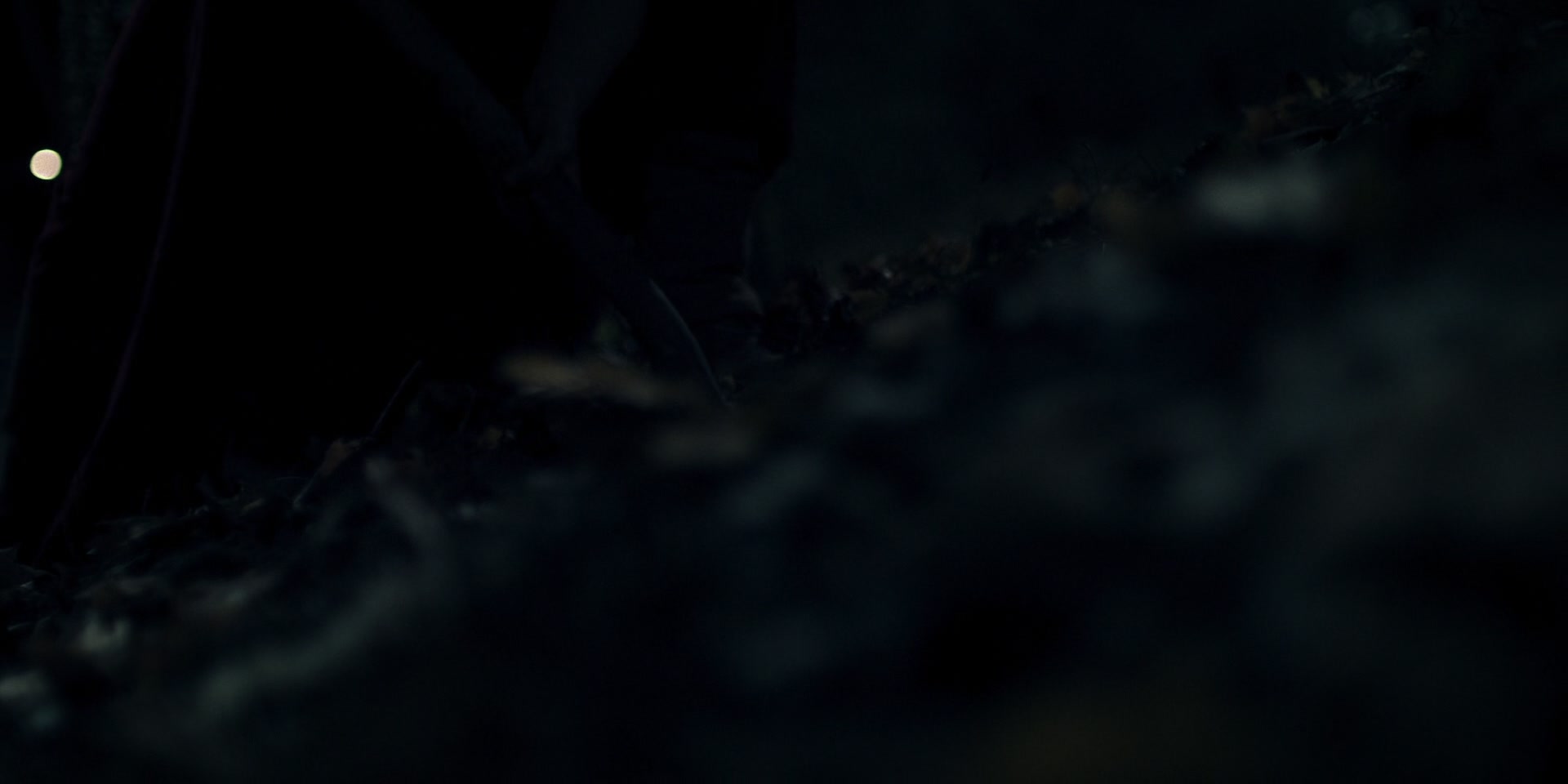 3x02_0769.jpg