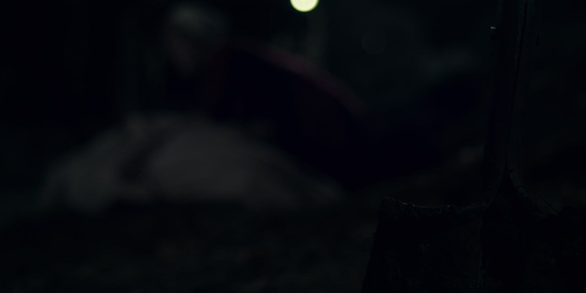 3x02_0787.jpg