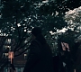 3x02_0483.jpg