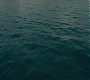 3x05_0455.jpg