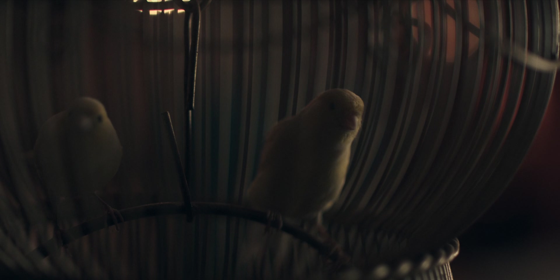 3x06_0179.jpg