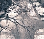 3x06_0045.jpg