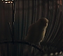 3x06_0179.jpg
