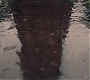 3x10_0027.jpg