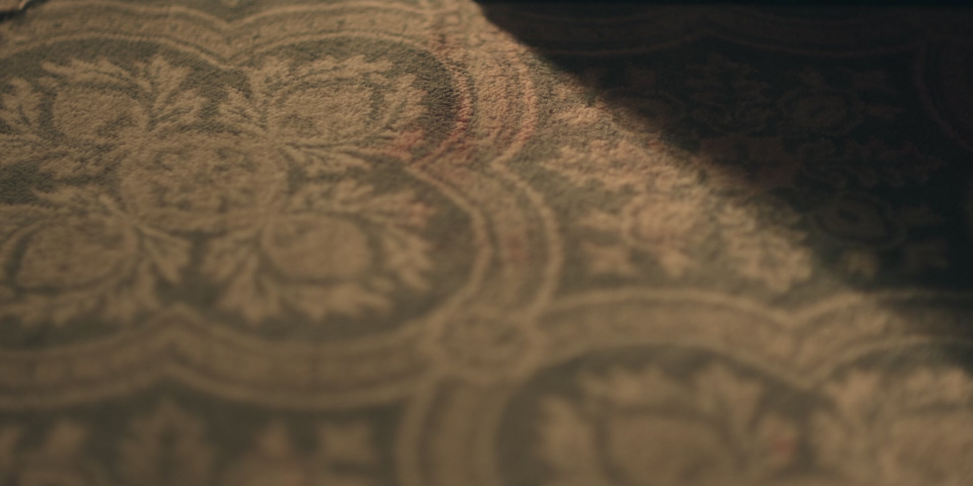 3x11_0917.jpg