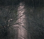 3x11_0821.jpg