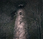 3x11_0823.jpg
