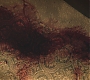 3x11_0882.jpg