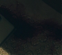 3x11_0907.jpg