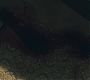 3x11_0909.jpg