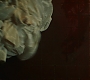 3x11_0935.jpg