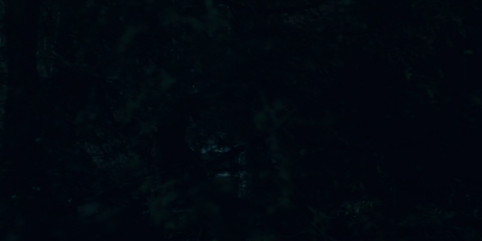 3x13_0501.jpg