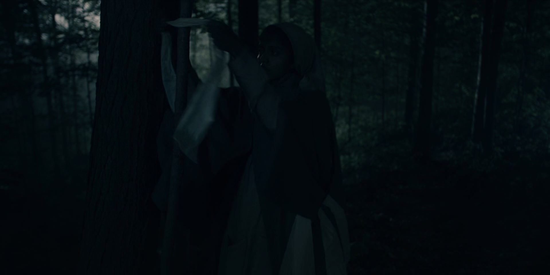 3x13_0535.jpg