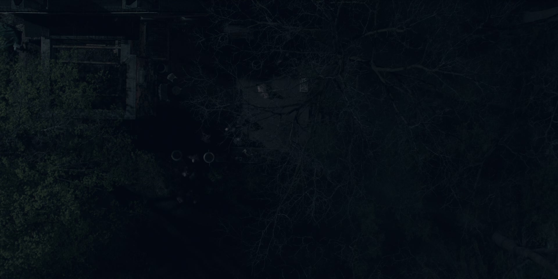 3x13_0642.jpg