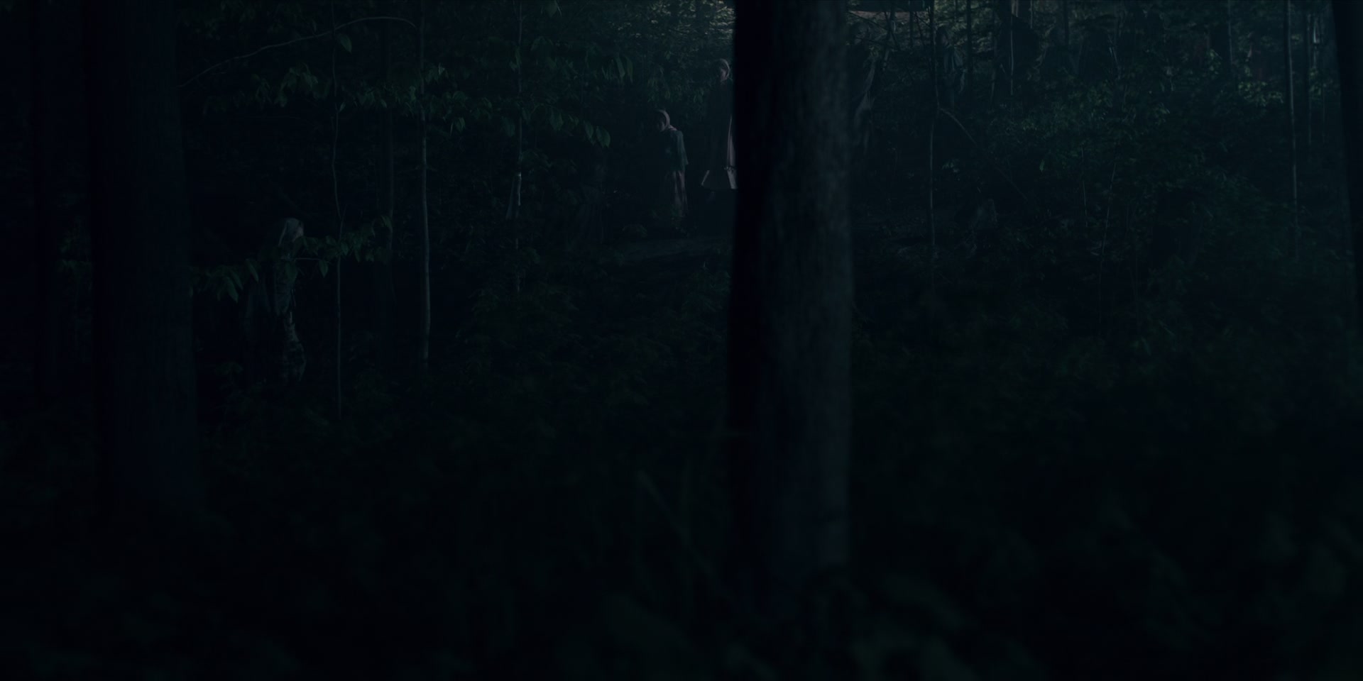 3x13_0650.jpg