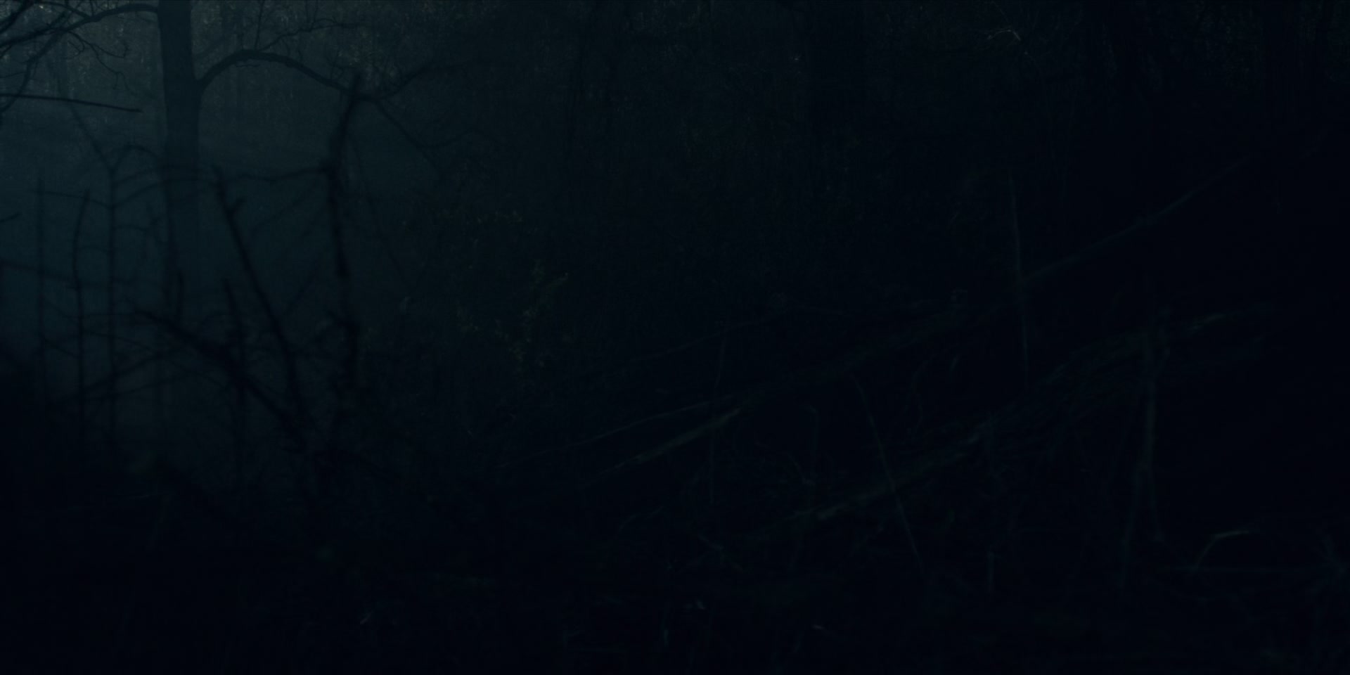 3x13_0687.jpg