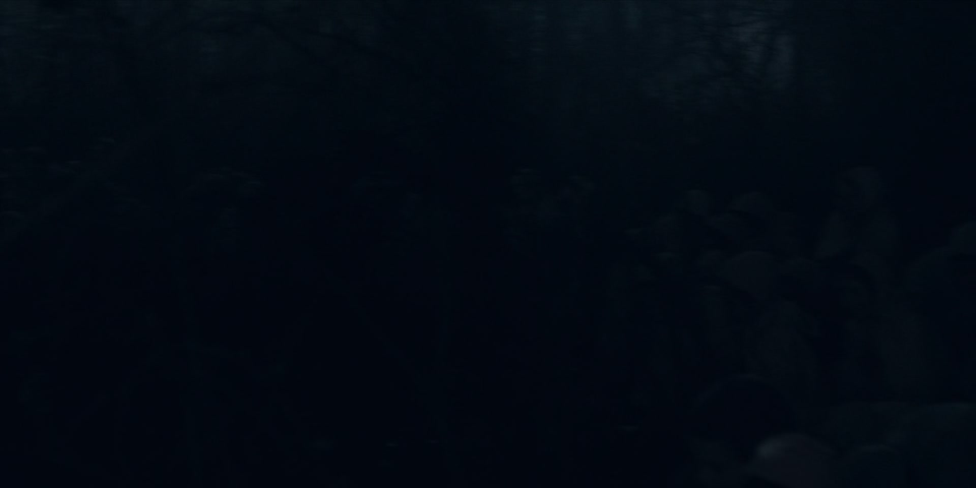 3x13_0697.jpg
