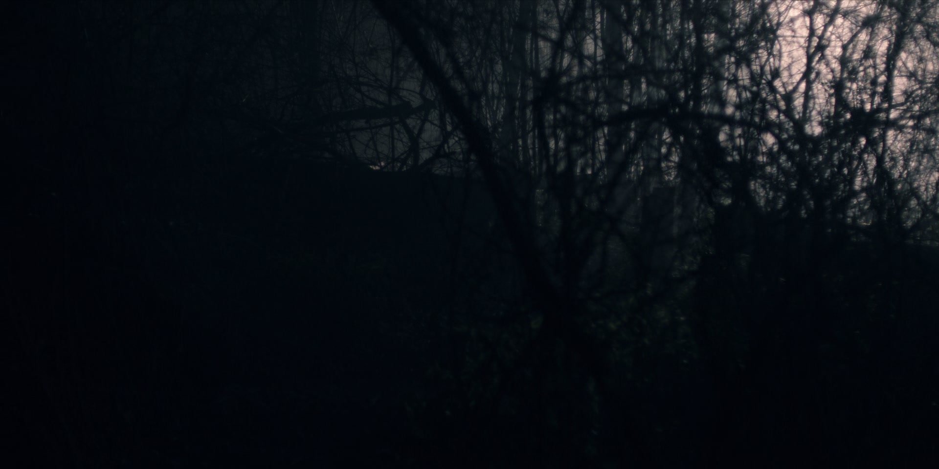 3x13_0735.jpg