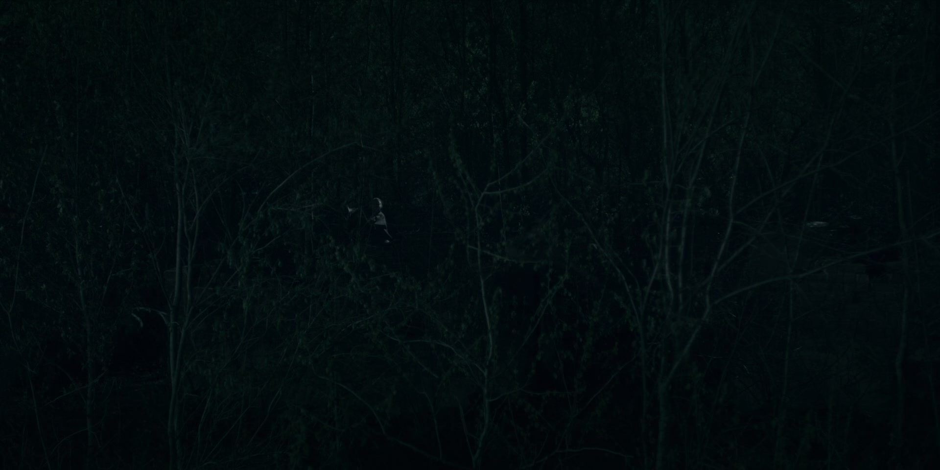 3x13_0772.jpg