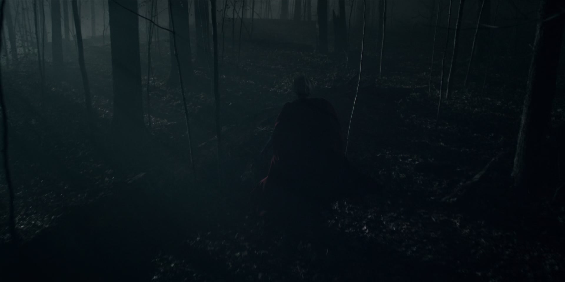 3x13_0799.jpg