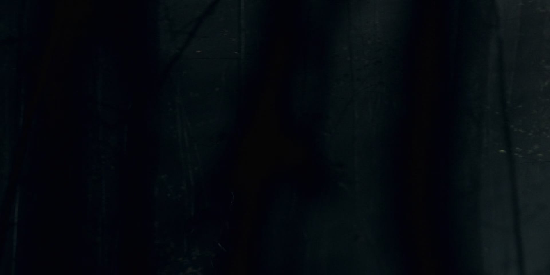 3x13_0800.jpg