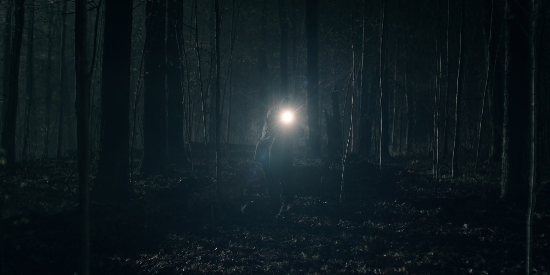3x13_0807.jpg