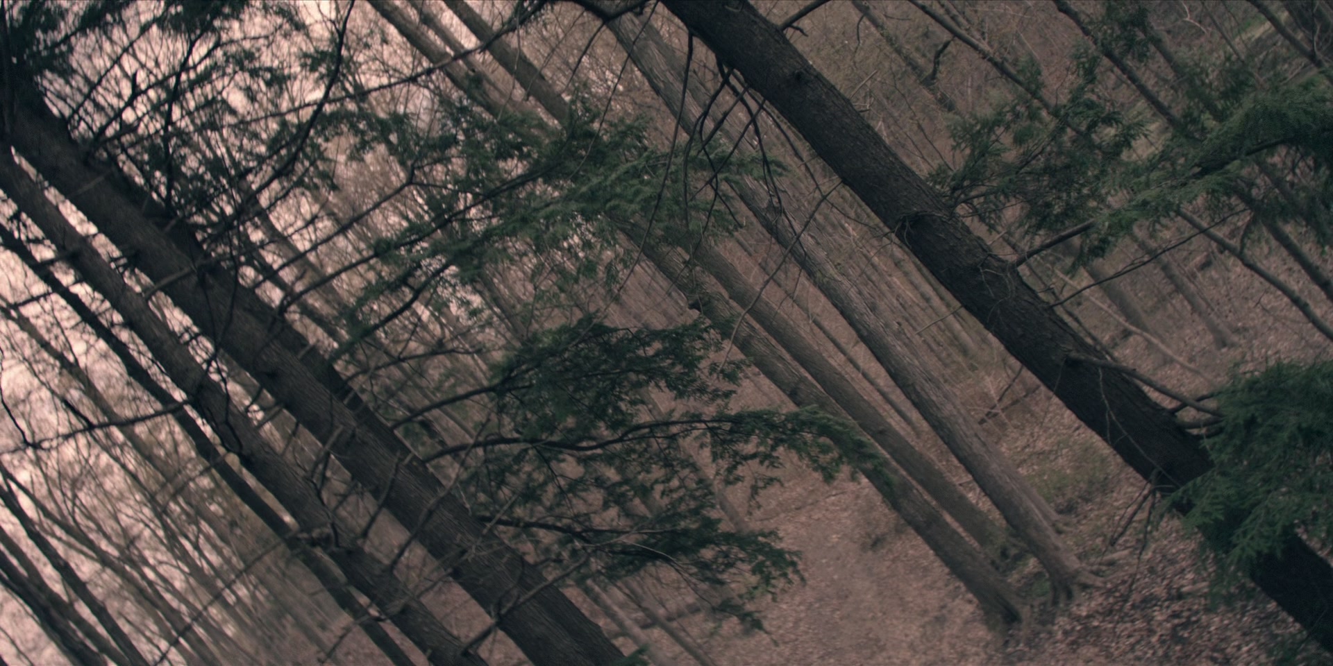 3x13_0965.jpg