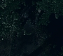 Filename=3x13_0534.jpg
Filesize=144KiB
Dimensions=1920x960
Date added=Jul 12, 2020 3x13_0534.jpg