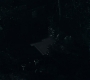 3x13_0646.jpg