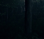 3x13_0650.jpg