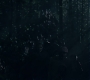 3x13_0667.jpg