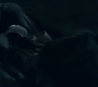 3x13_0675.jpg