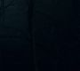 3x13_0686.jpg
