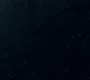 3x13_0688.jpg