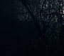 3x13_0735.jpg