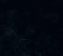 3x13_0741.jpg