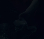 3x13_0742.jpg