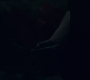 3x13_0743.jpg