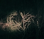 3x13_0763.jpg