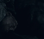 3x13_0764.jpg