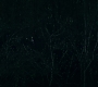 3x13_0772.jpg
