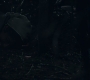 3x13_0776.jpg