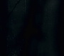 3x13_0800.jpg
