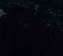 3x13_0816.jpg