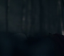 3x13_0817.jpg