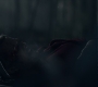 3x13_0839.jpg