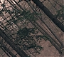 Filename=3x13_0965.jpg
Filesize=377KiB
Dimensions=1920x960
Date added=Jul 12, 2020 3x13_0965.jpg