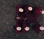 Filename=3x13_0970.jpg
Filesize=284KiB
Dimensions=1920x960
Date added=Jul 12, 2020 3x13_0970.jpg