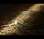 Filename=1602.jpg
Filesize=148KiB
Dimensions=1920x1080
Date added=Oct 20, 2022 1602.jpg